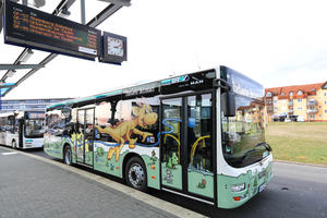 Bild vergrößern: Stadtbus mit EDIE-Werbung 