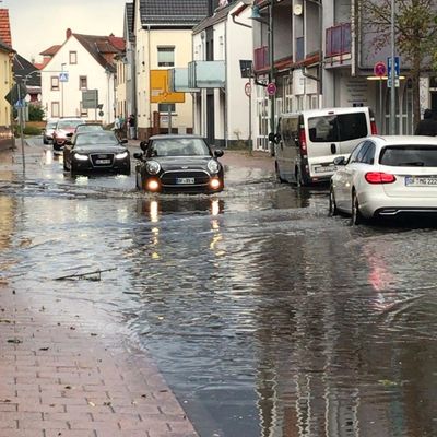 Bild vergr&ouml;&szlig;ern: Sturmsch&auml;den